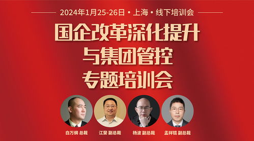 華彩咨詢 國(guó)資國(guó)企與集團(tuán)類企業(yè)的定制化管理咨詢服務(wù)專家